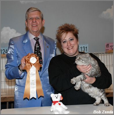 Catequil CSI  Horatio